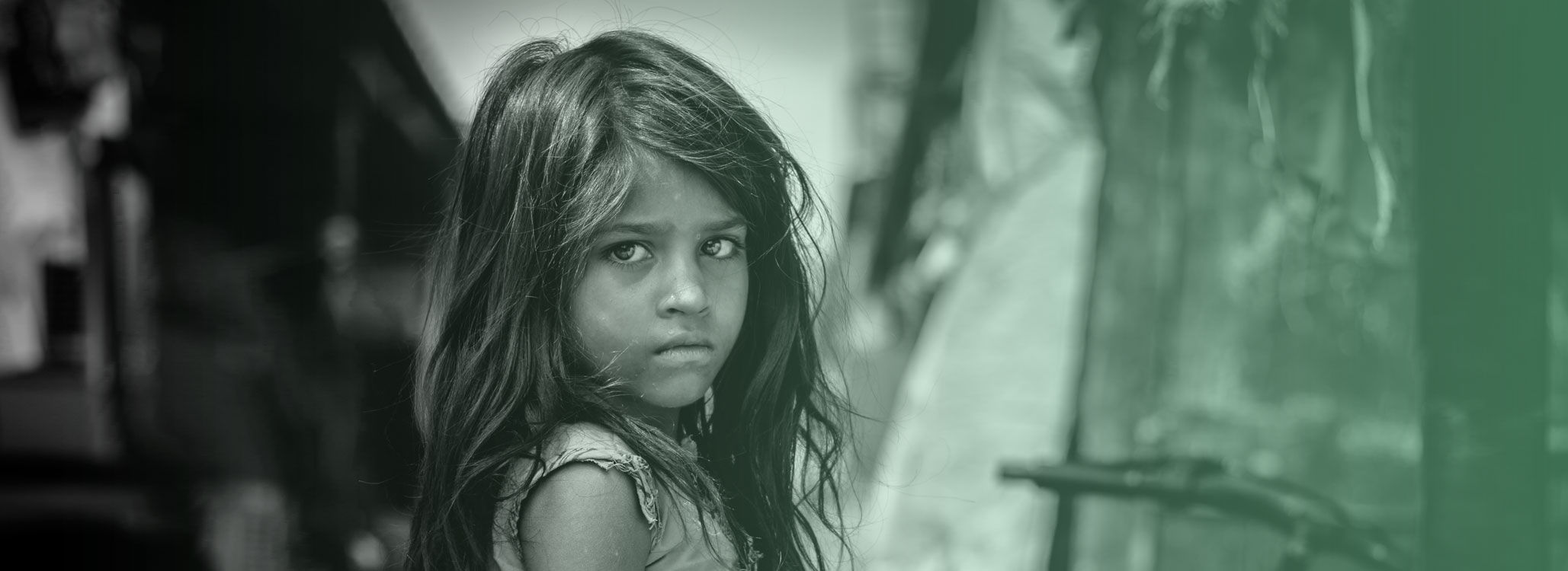 Dnet web design mockup