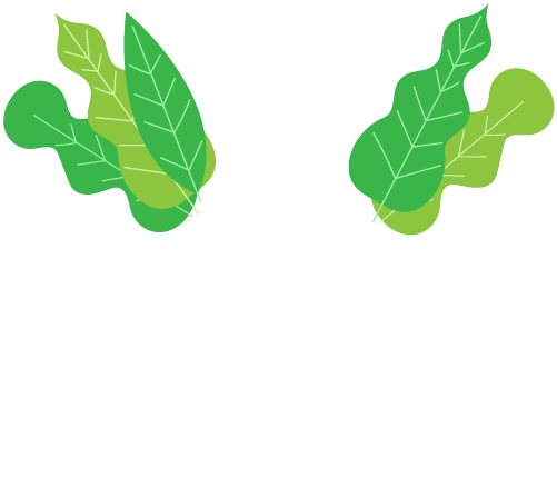 Keyword Building for SEO