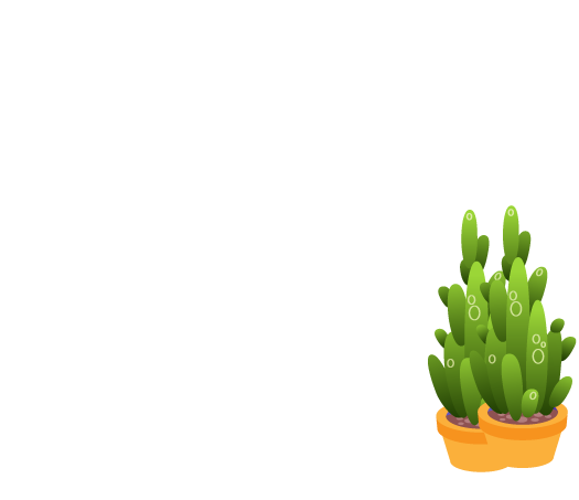 Corporate photography services in BD