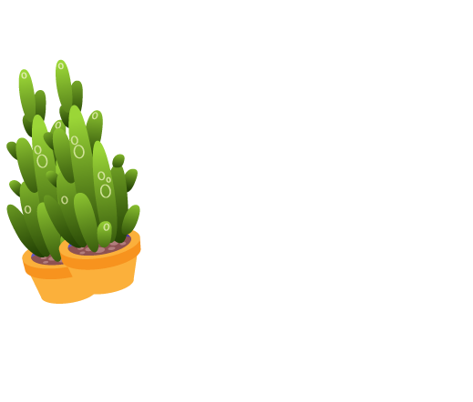 PPC Campaign Company in Bangladesh