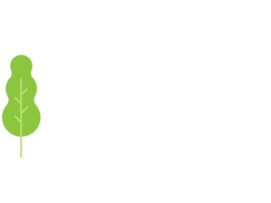 Search Engine Optimization Agency