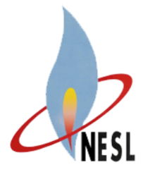 National Energy Service Limited accounting firm in Bangladesh